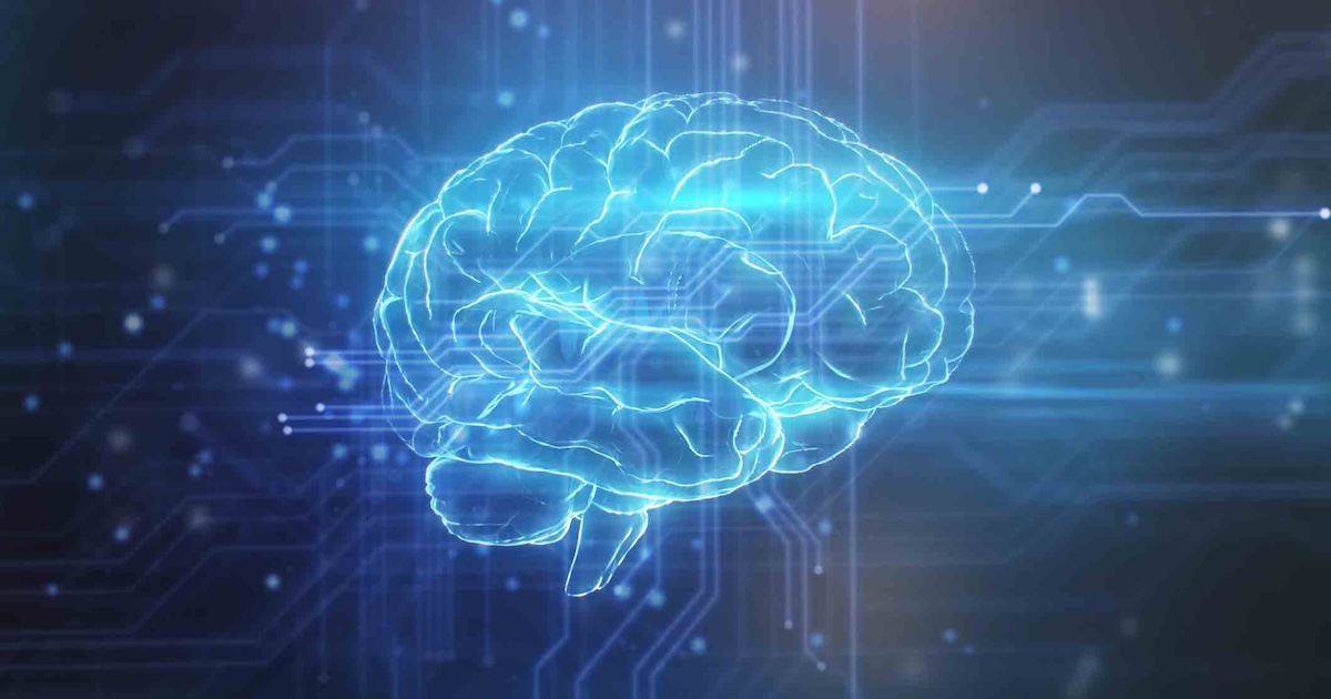 AI brain and circuitry AI brain and circuitry