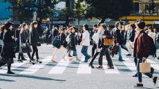 Many individuals walking on a city crosswalk Many individuals walking on a city crosswalk