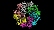 Seq2Symm proteins Seq2Symm proteins