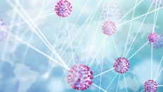 Human cells connected with lines Human cells connected with lines